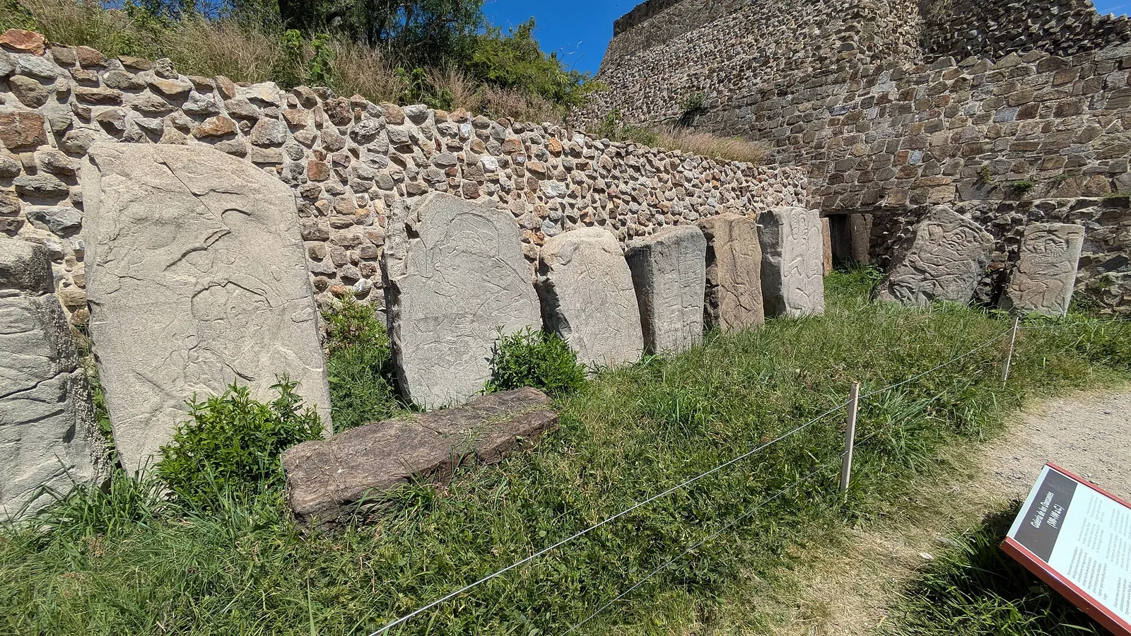 A row of upright carved stone slabs from the Gallery of the Danzantes leaning against a rubble wall at Monte Alban, each incised with a contorted human figure.