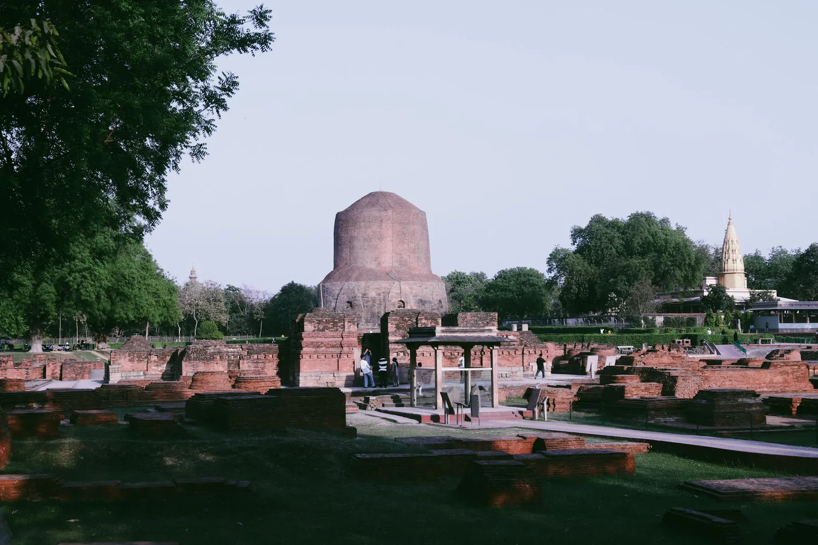 The cylindrical brick and stone drum of the Dhamek Stupa rising above the excavated monastery foundations at Sarnath.